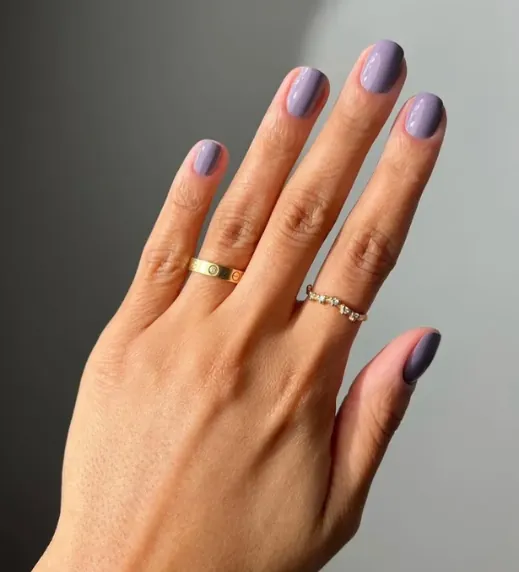 Lovely Lavender